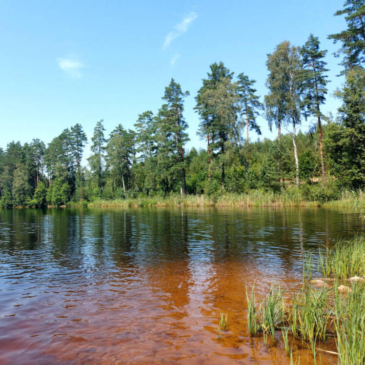 Jezioro Białe - ma lecznicze wody borowinowe.